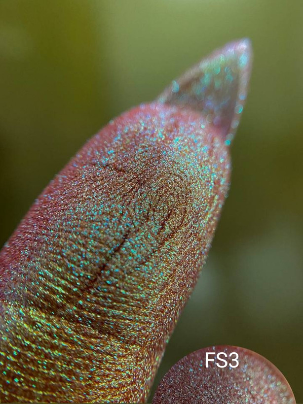 جزئیات آرایش درخشان مدل ۱ با فول شاین فرنا FARNA